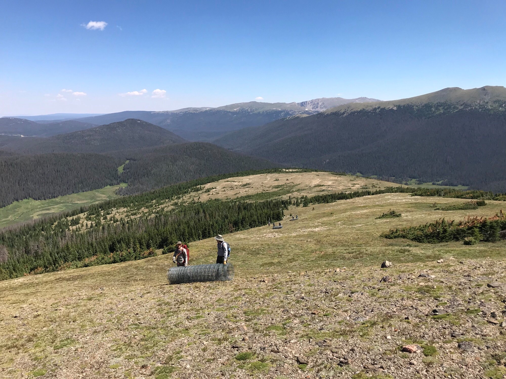 People on a green valley