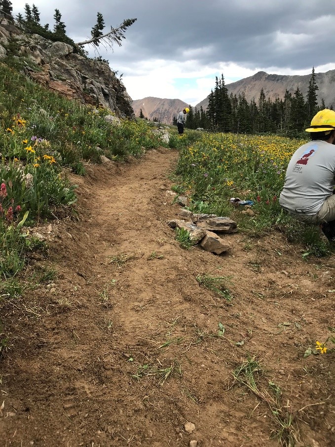 Hikers on a mountain trail surrounded by wildflowers