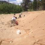 A group of people working on a sand dune.