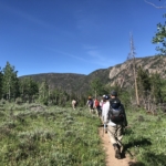 A group of hikers on a trail.
