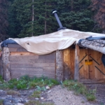A hut in the woods with a tarp on the roof.