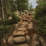 A rocky path leading up to a forest.