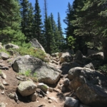 A trail in the mountains with rocks and trees.