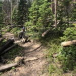 A person riding a bike on a trail in the woods.