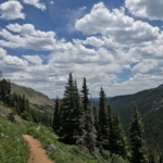 A trail in the mountains with trees and flowers.