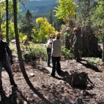 A group of people standing in a wooded area.