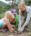 A woman and two children are planting a plant in the dirt.