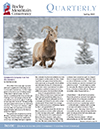 The cover of the quarterly magazine with a ram in the snow.
