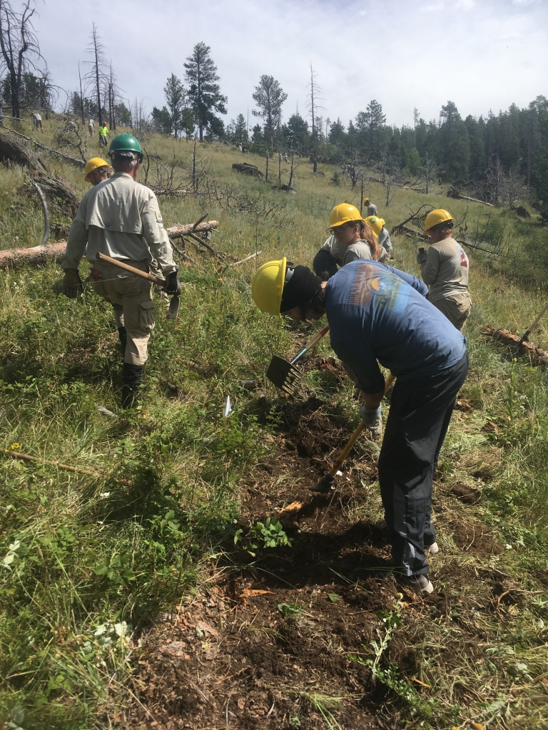 A group of people working in a field.