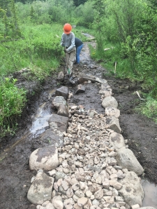 A man is working on a rocky path in the woods.