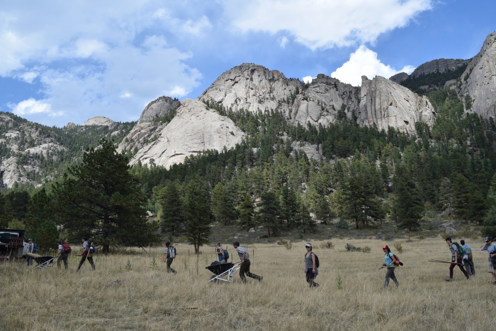 A group of people walking through a grassy field.