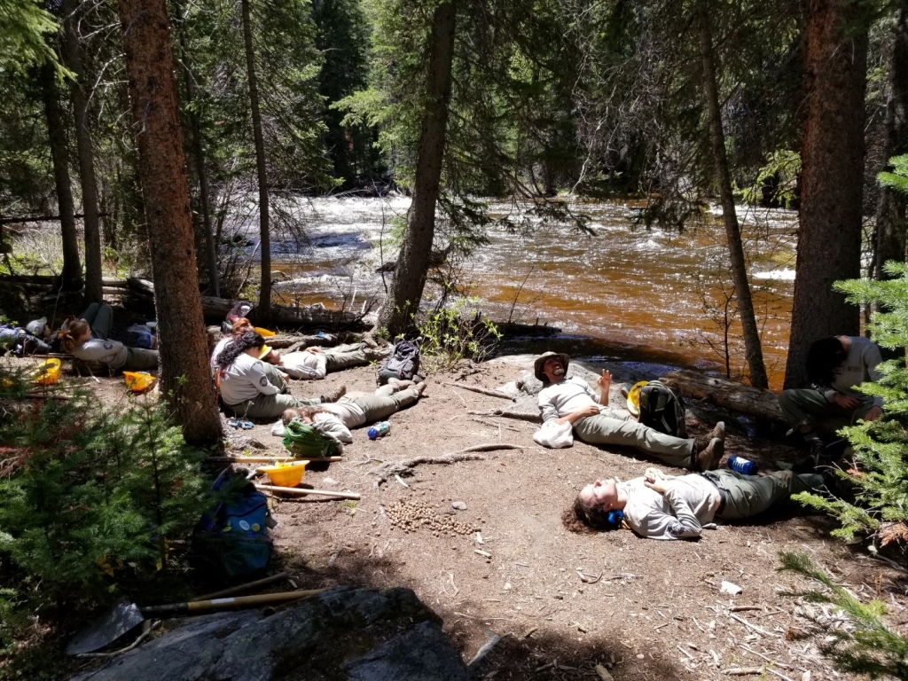 A group of people laying on the ground near a river.
