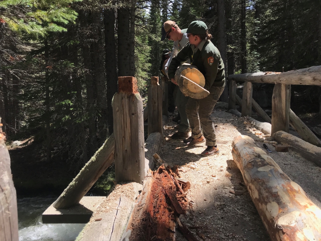 Two people standing on a bridge in the woods.