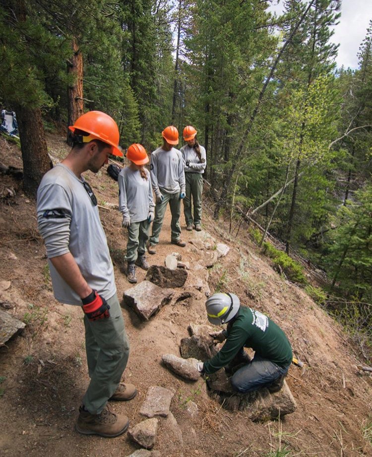 A group of people working on a trail in the woods.