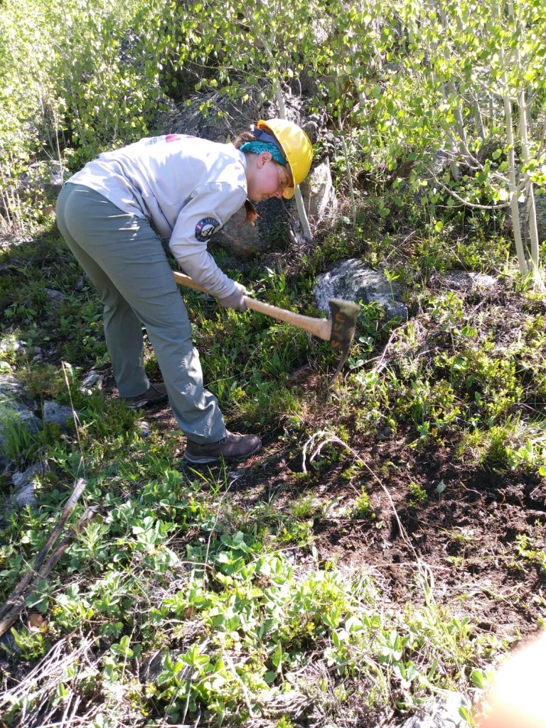 A woman with a shovel in a wooded area.