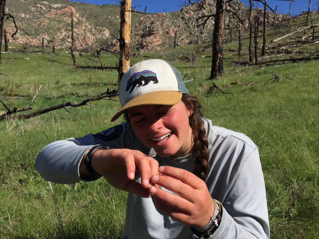 A woman is holding a bug in her hand in a grassy field.