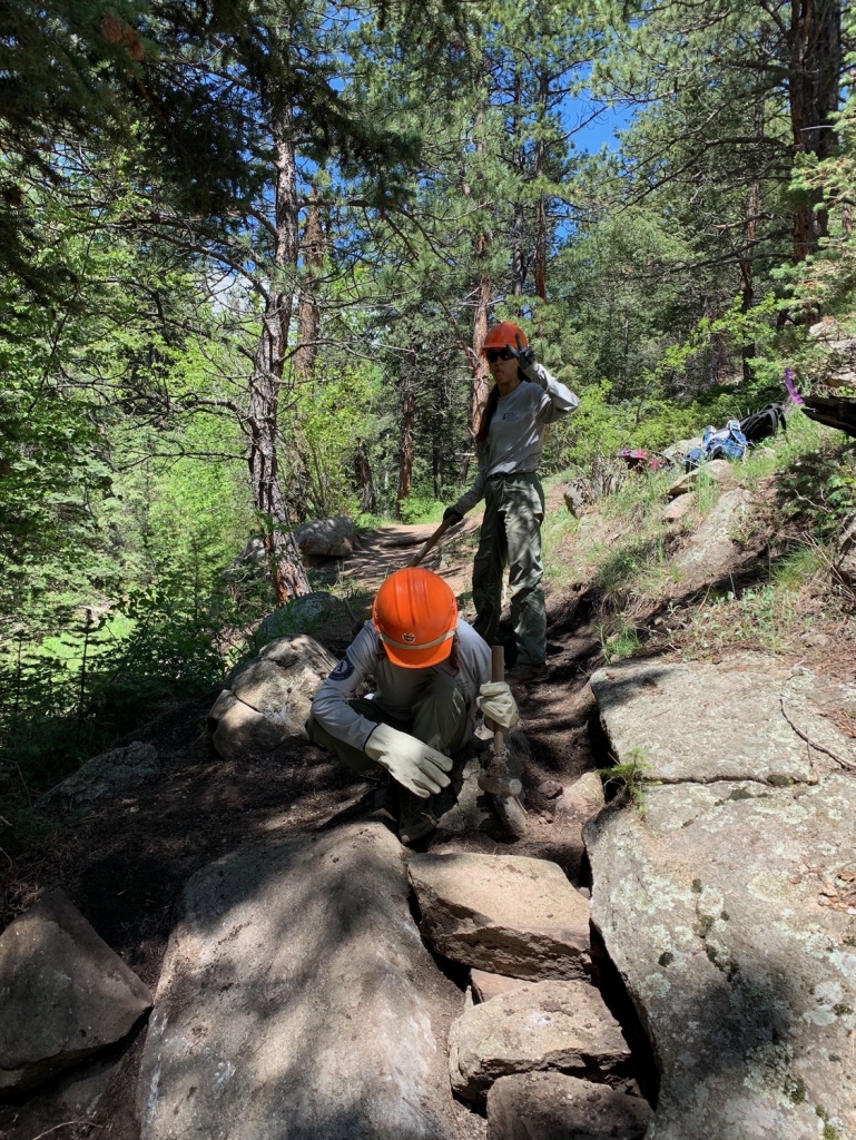 Two people working on a trail in the woods.