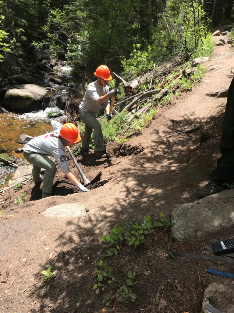 A group of people working on a trail in the woods.