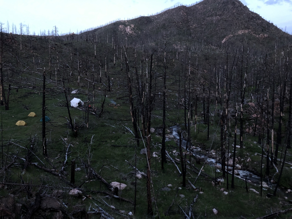 A tent is set up in a burned area near a mountain.