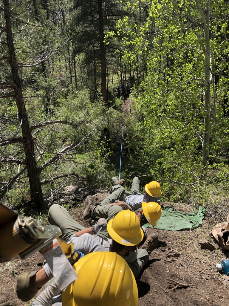 A group of people laying down in the woods.