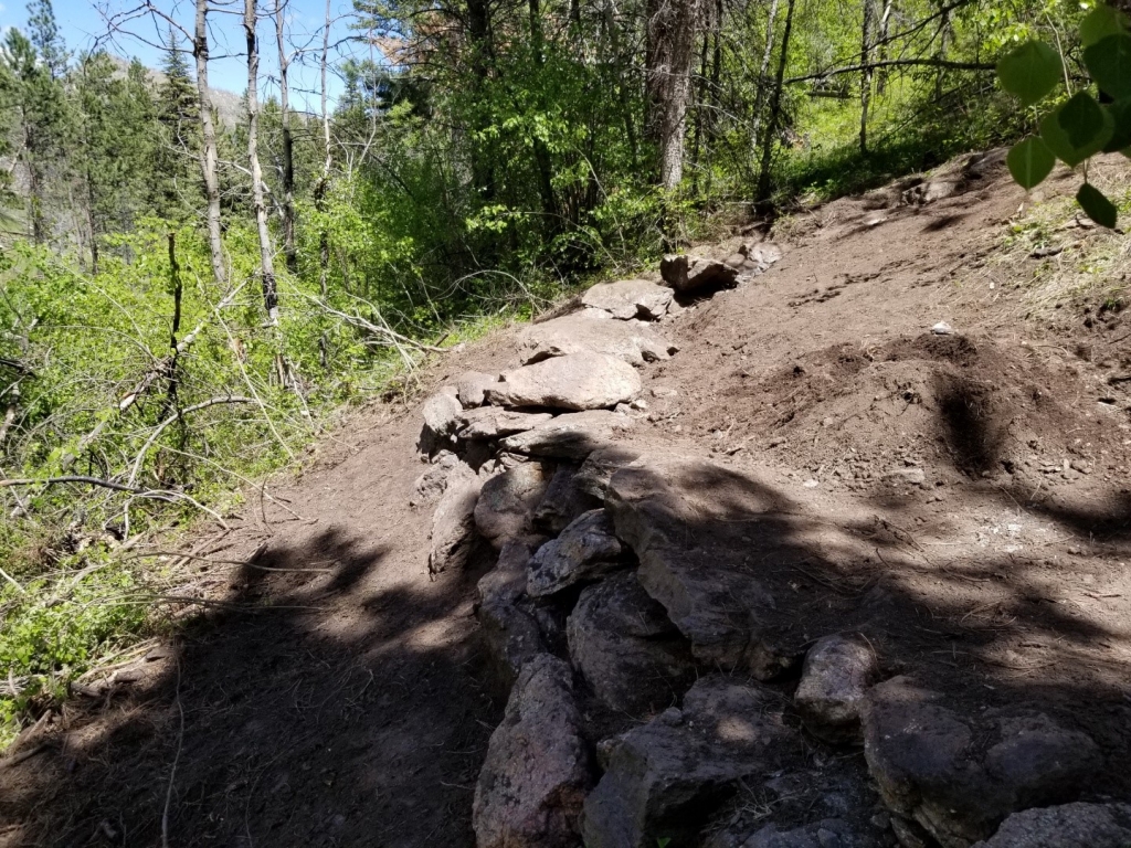 A rock wall on a trail in the woods.