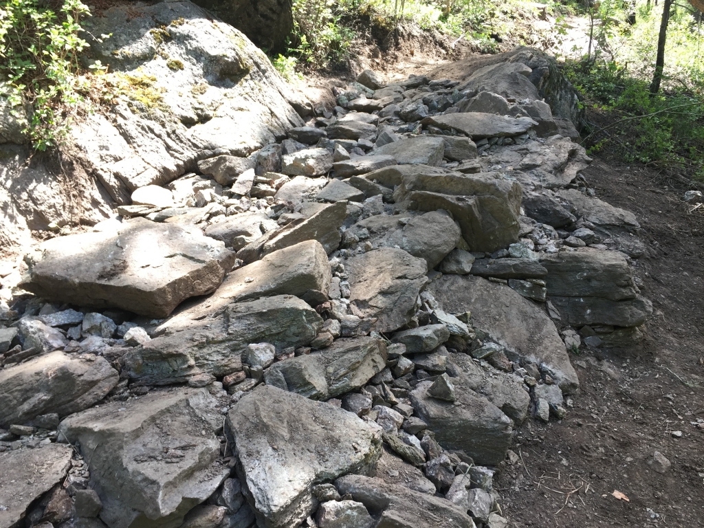 A trail with a lot of rocks on it.