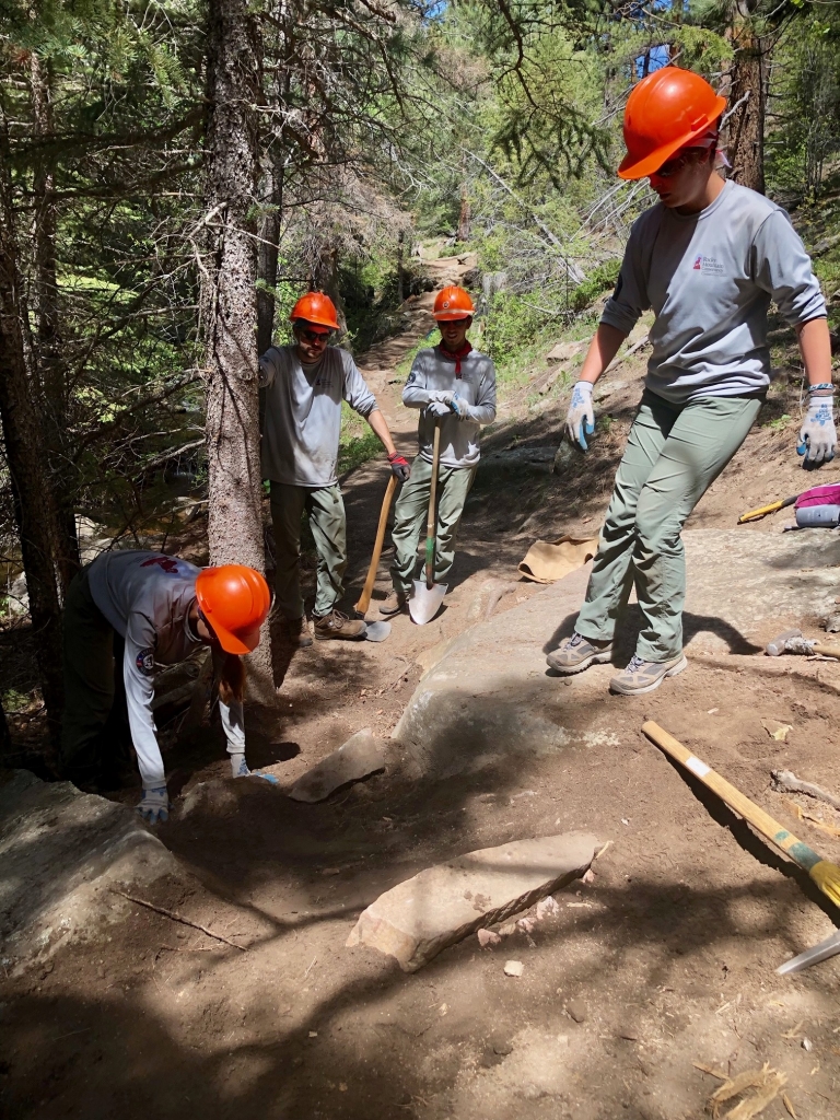 A group of people working on a trail in the woods.