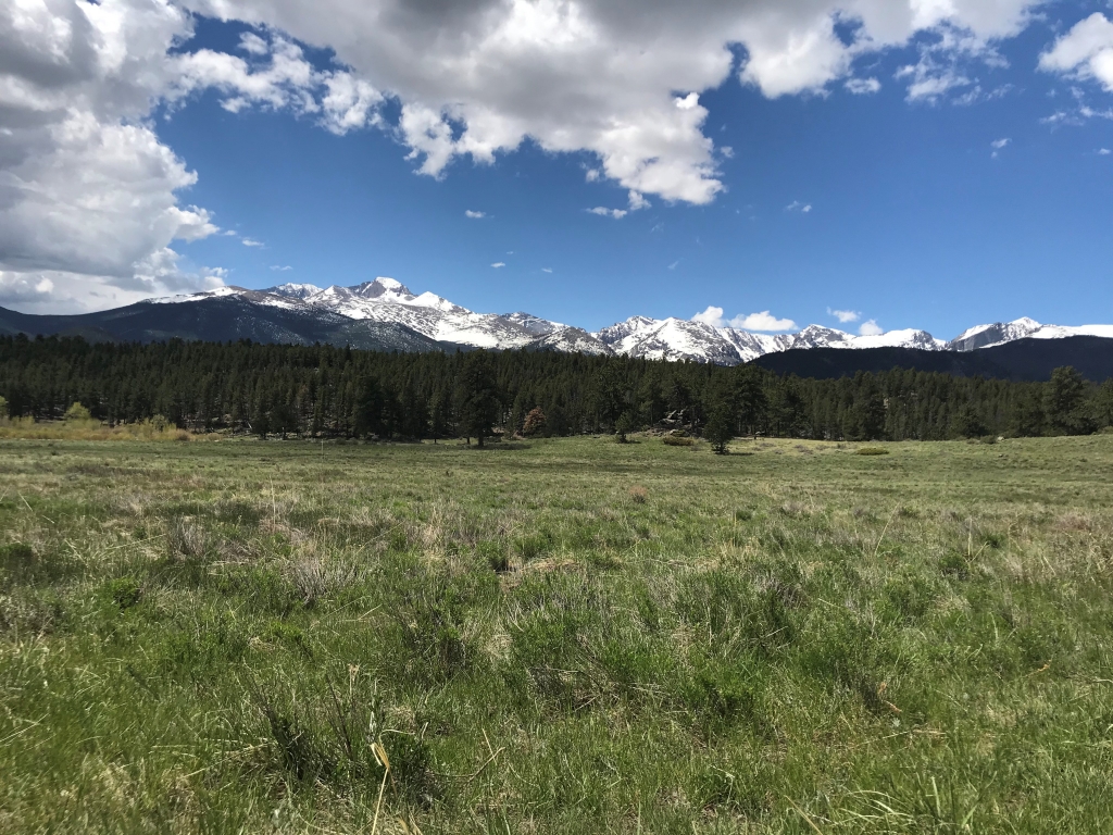 A grassy field with mountains in the background.