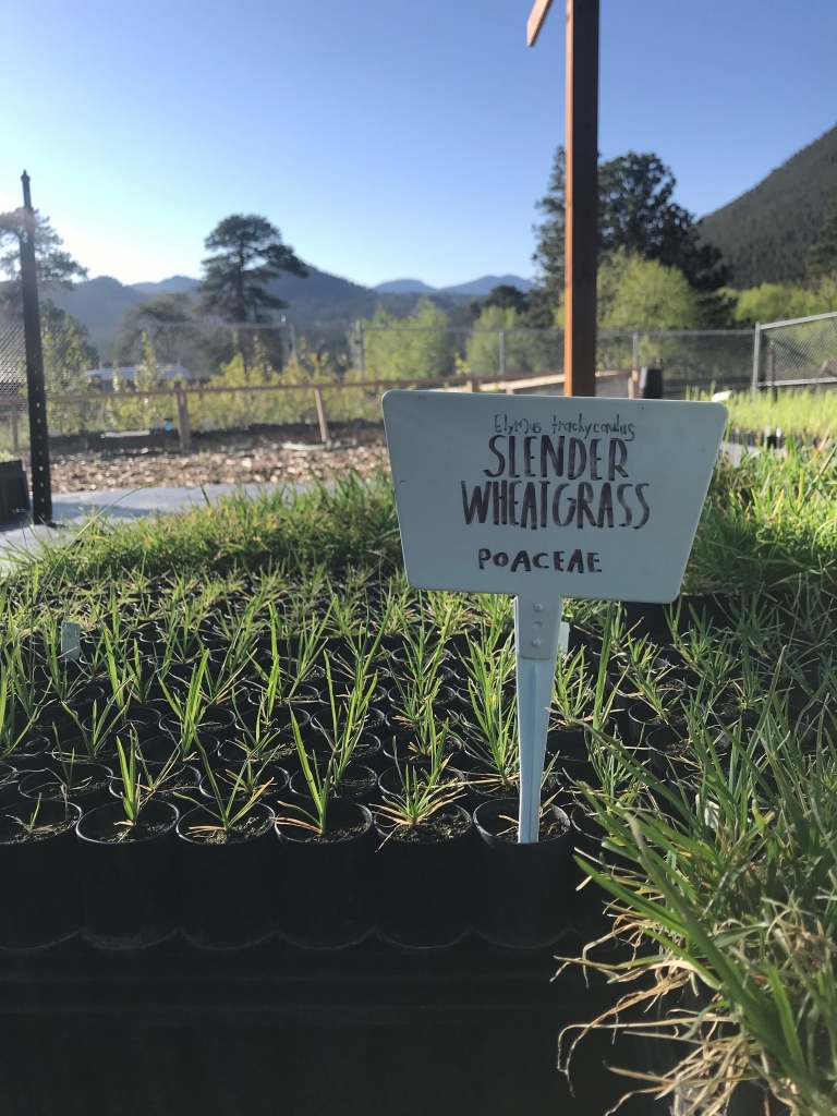 A sign that says sundew whirlpools in a field.