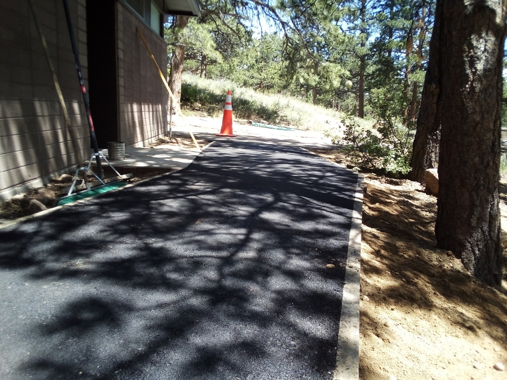 A black paved path next to a tree in a wooded area.