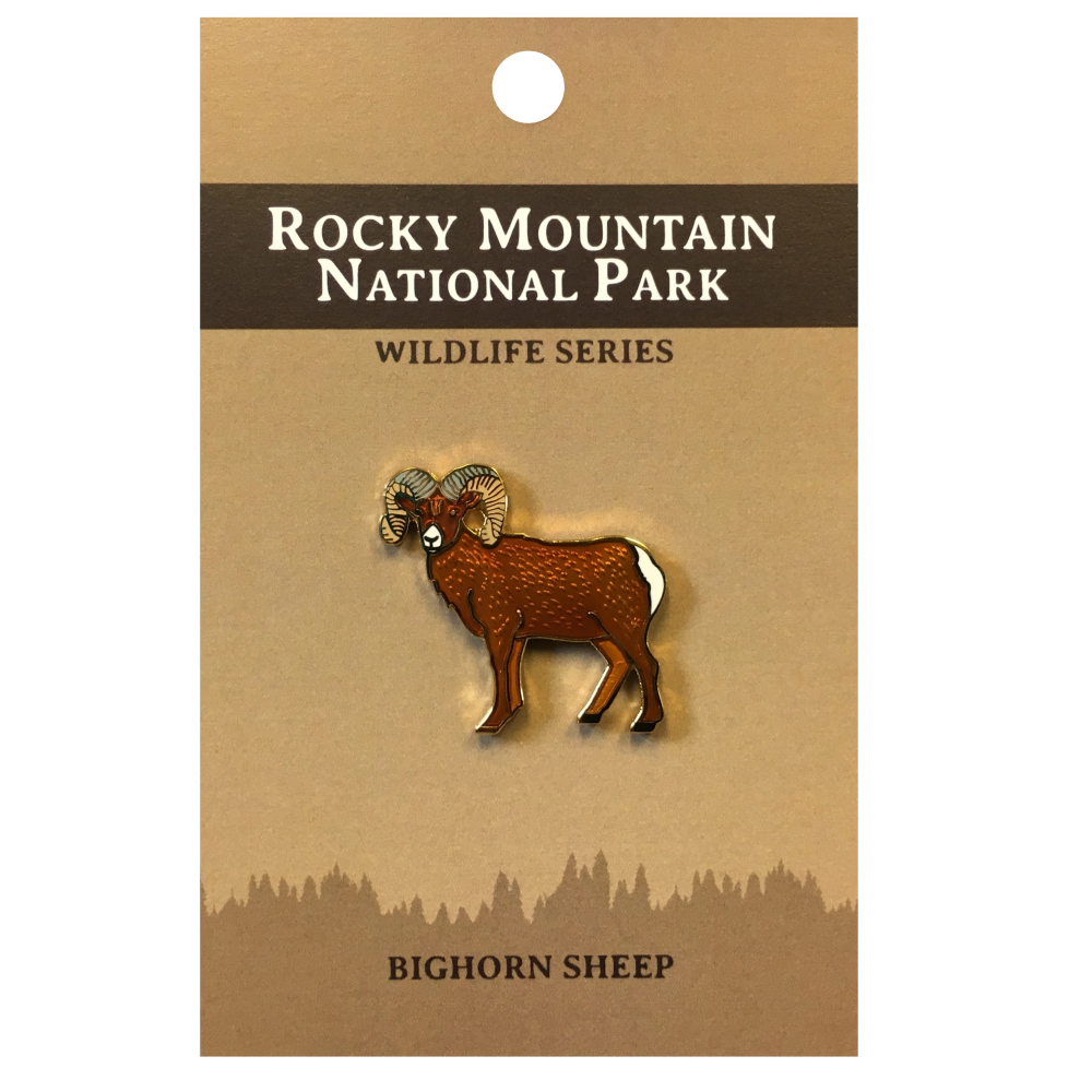 Bighorn Sheep pin