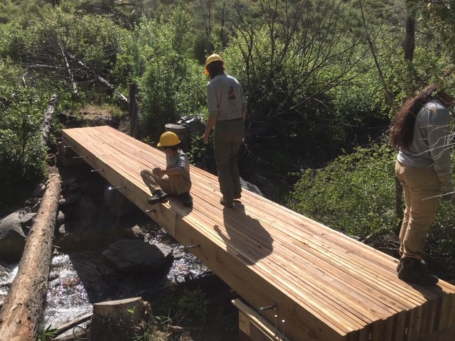 A group of people standing on a wooden bridge in a wooded area.