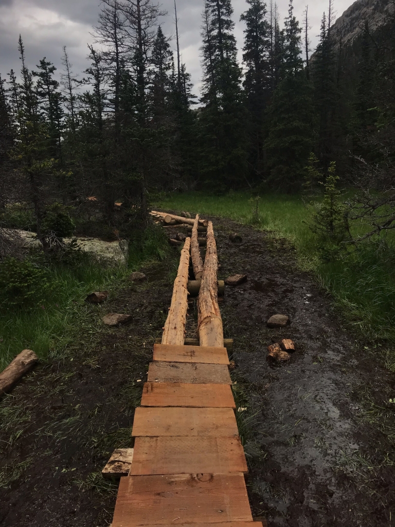 A wooden bridge in the middle of a muddy area.
