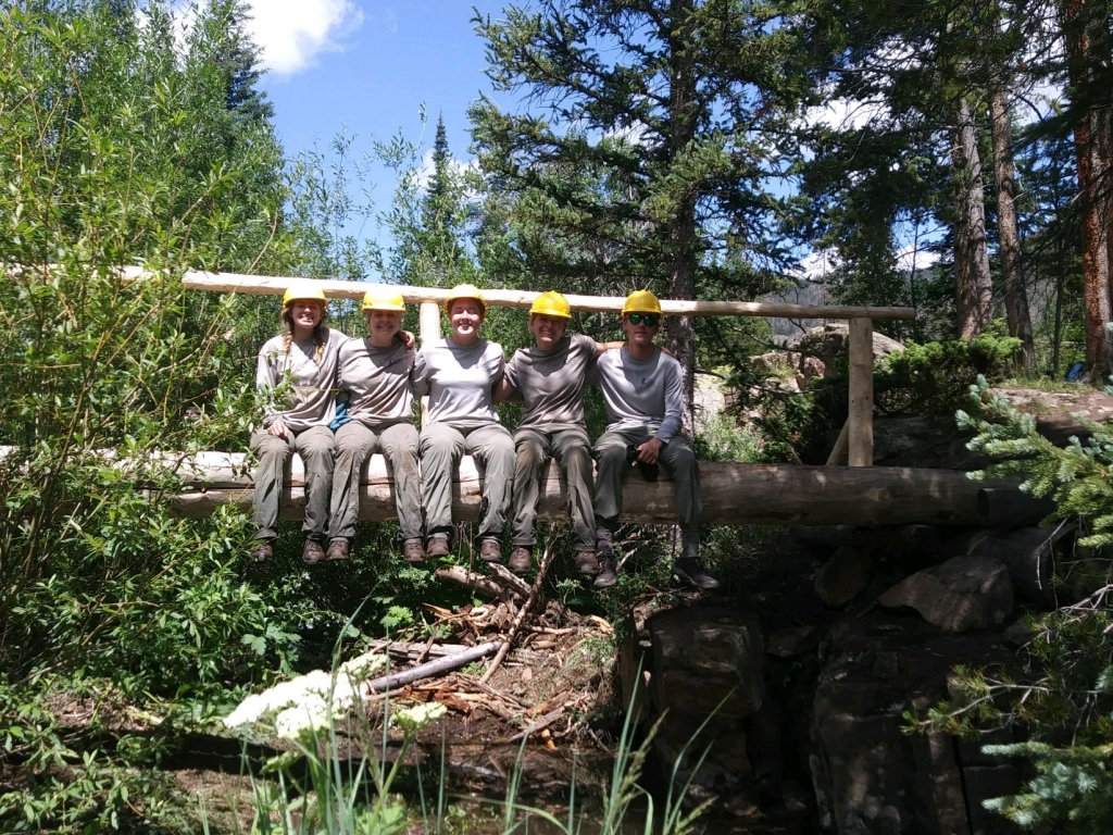 A group of people sitting on a log in a wooded area.