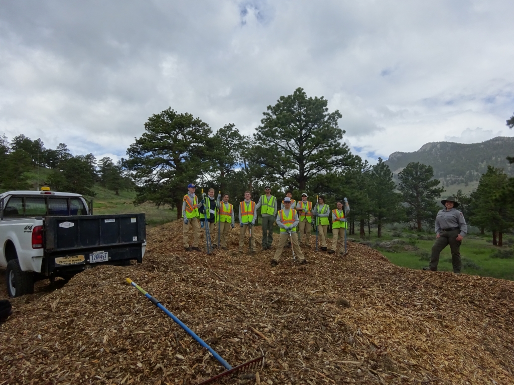 A group of people standing near a pile of mulch.