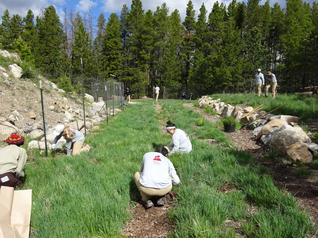 A group of people working in a grassy area.