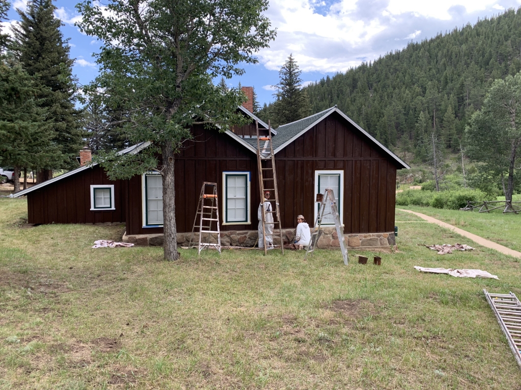 A house is being painted in a wooded area.