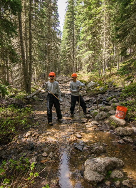 Two men in hard hats working in the woods.