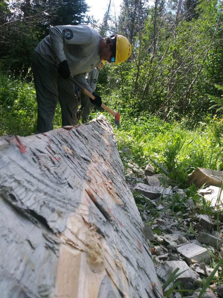 A man working on a log in the woods.