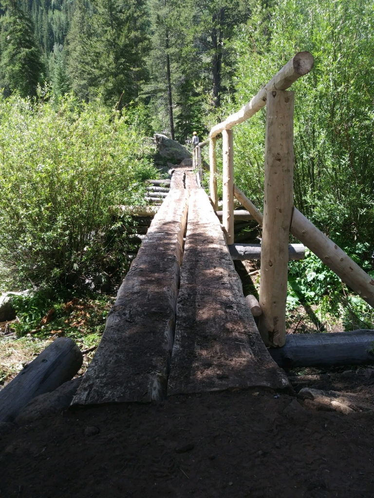 A wooden bridge over a creek.