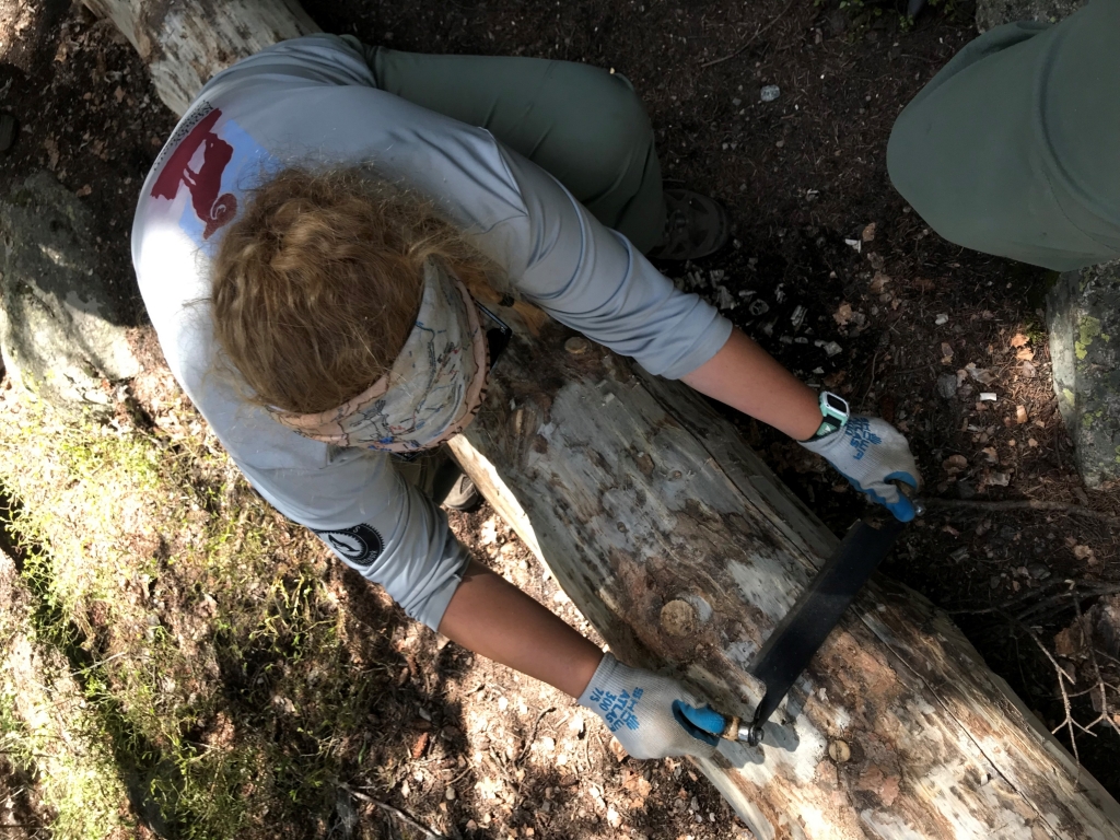 A woman cutting a log in the woods.