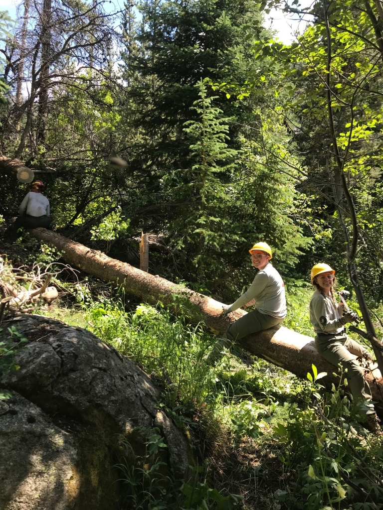 A group of people sitting on a log in the woods.