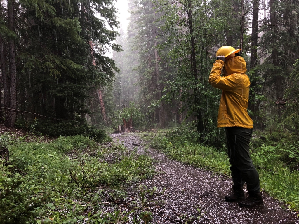 A man in a yellow jacket standing in a forest.