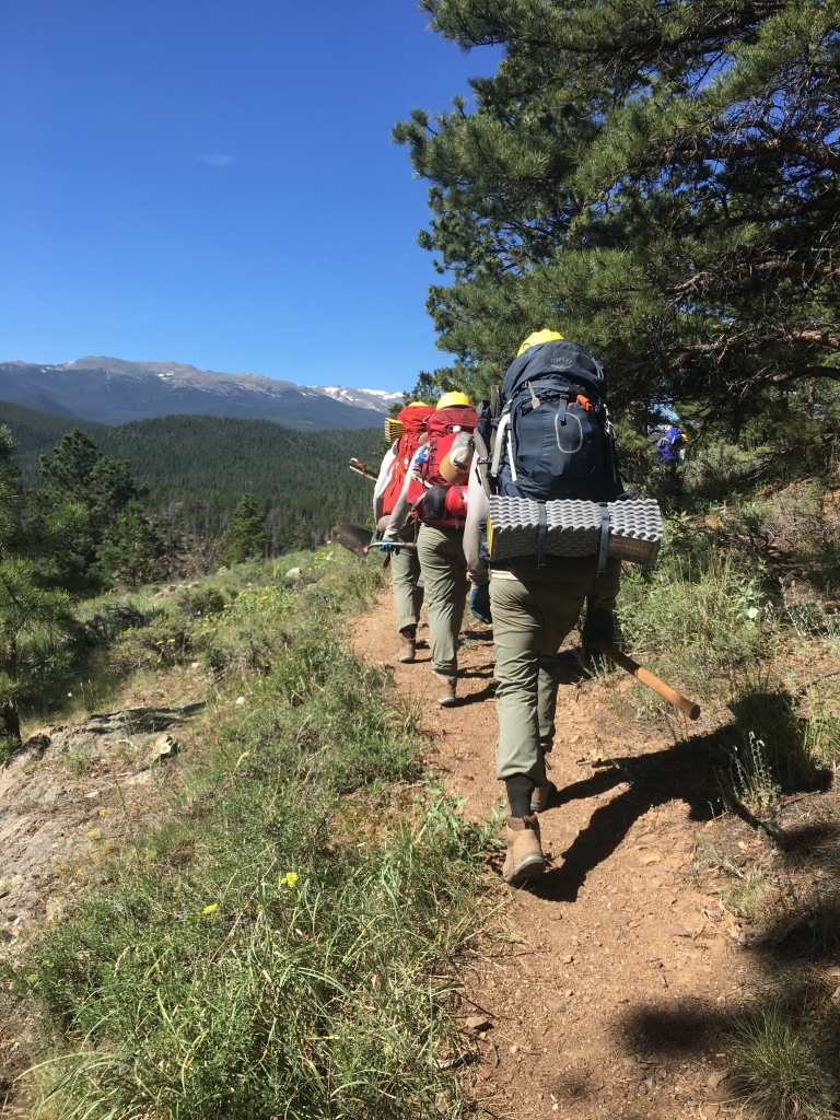 A group of hikers on a trail.