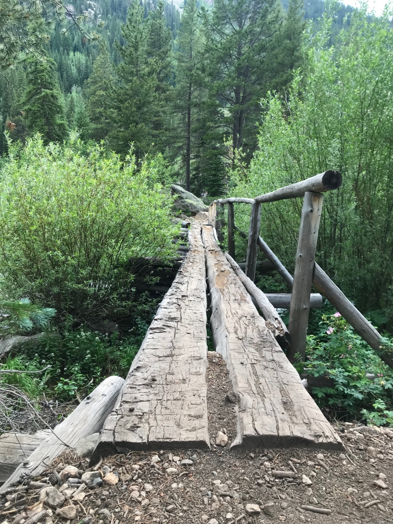 A wooden bridge over a creek in the woods.