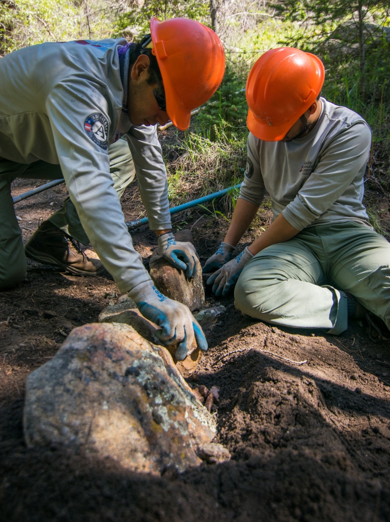 Two workers digging land in the forest