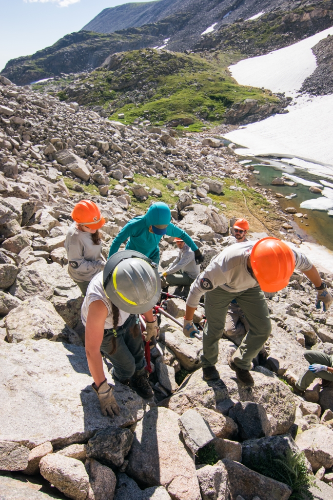 Group of workers doing rescue simulation on rocky mountain