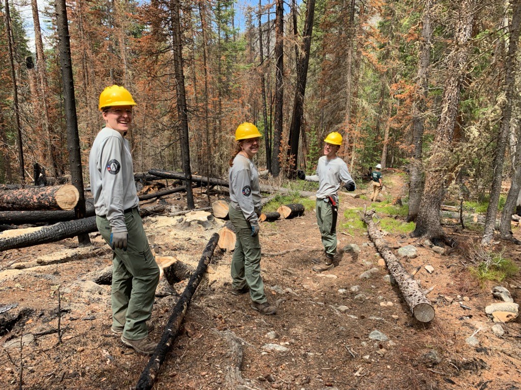 Three men in hard hats standing on a trail with logs.