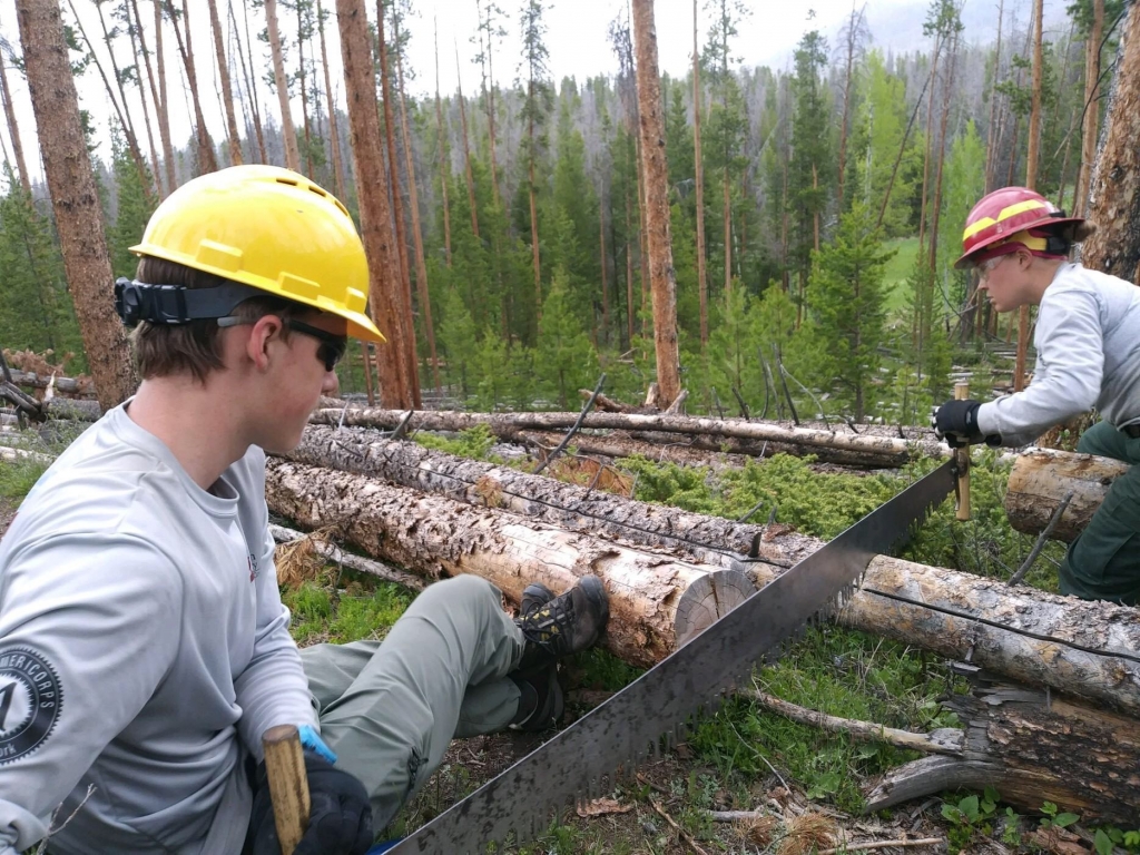 Two men in hard hats cutting logs in a forest.