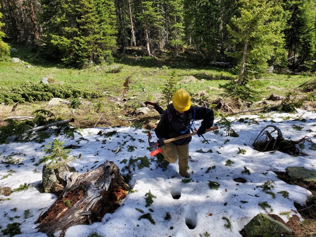 A forest worker carrying tools walks across a snowy and wooded area 